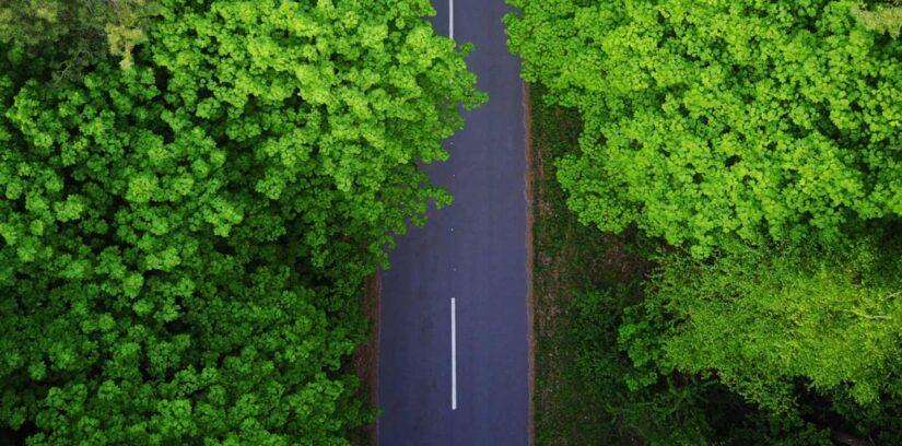 Road through the forest, aerial view